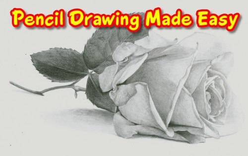 Example of realistic pencil drawing by a student from Nolan Clark's drawing course, showcasing shading and detail.